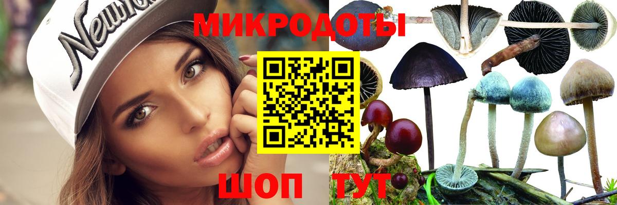 Псилоцибиновые грибы MAGIC MUSHROOMS  Вход с VPN  Калуга  купить наркотики цена  Псилоцибиновые грибы GOLDEN TEACHER 